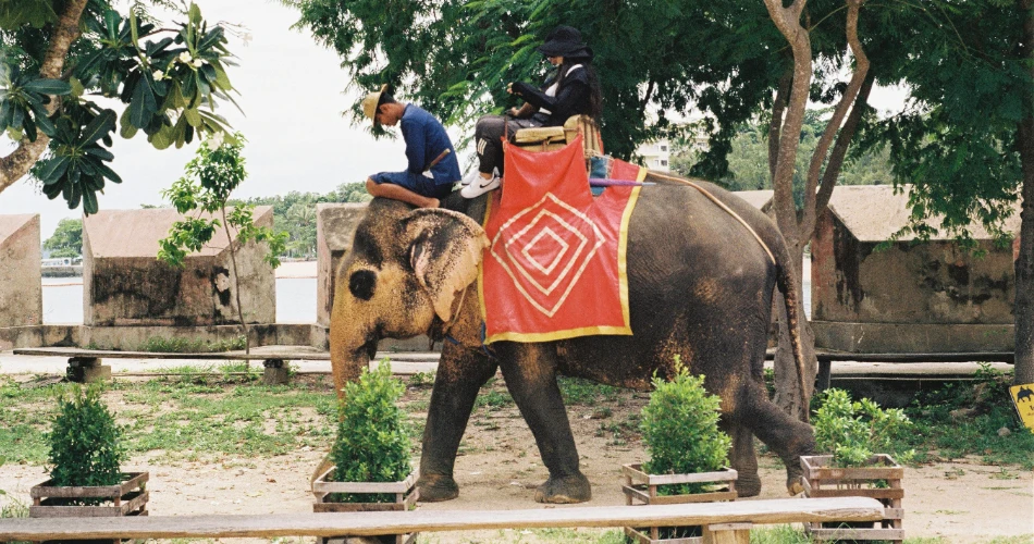 10 Best Things to Do in Kandy Sri Lanka