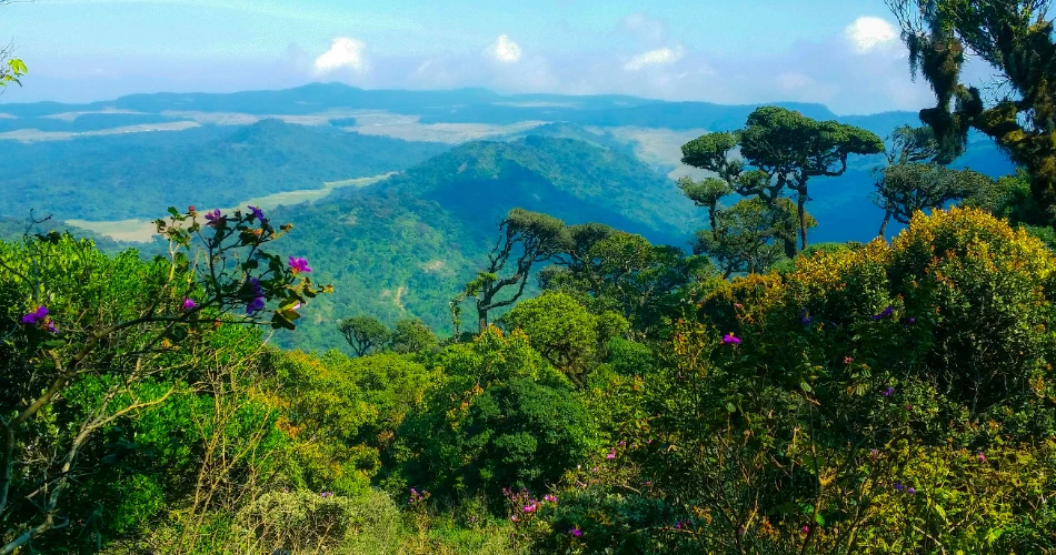 10 Best Things to Do in Kandy Sri Lanka