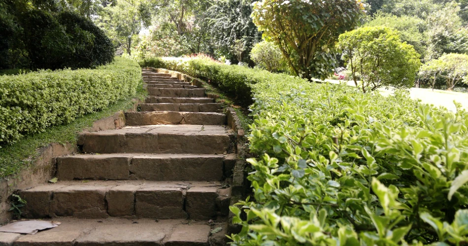 10 Best Things to Do in Kandy Sri Lanka