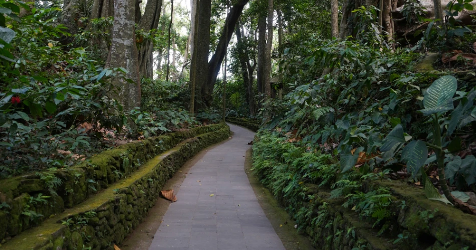 10 Best Things to Do in Kandy Sri Lanka